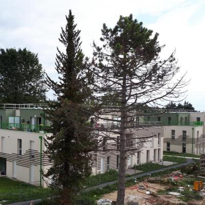 Construction de 81 logements